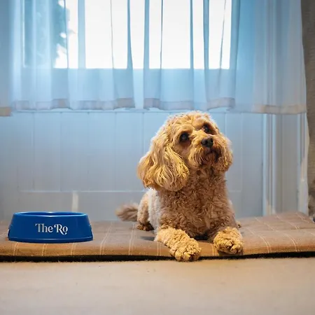 호텔 The Ro Windermere 4*